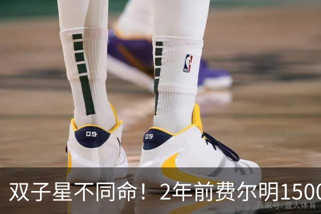 双子星不同命！2年前费尔明1500万加维9000万，现在1.1亿&2500万