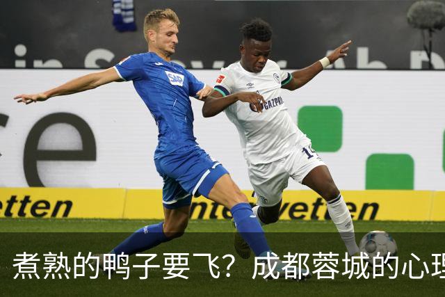 煮熟的鸭子要飞？成都蓉城的心理魔怔