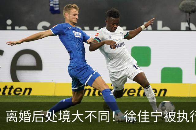 离婚后处境大不同！徐佳宁被执行标的2111万元，李小冉买豪宅名车