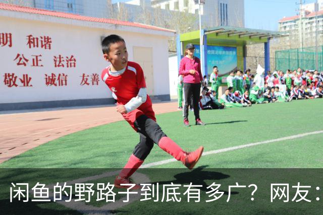 闲鱼的野路子到底有多广？网友：五花八门的啥都有
