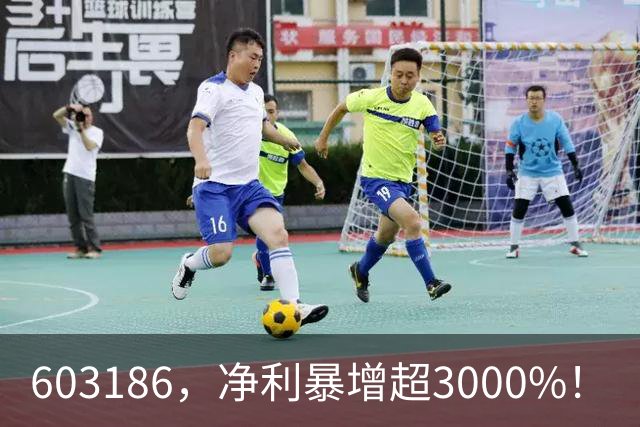 603186，净利暴增超3000%！